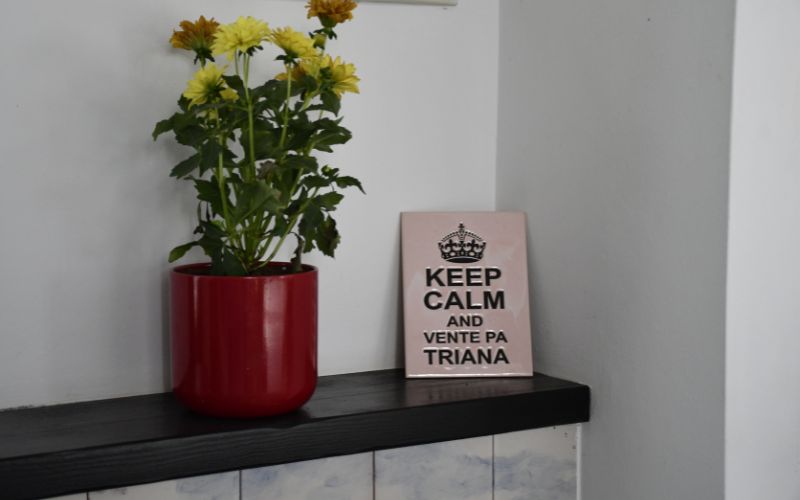 detalles (3)