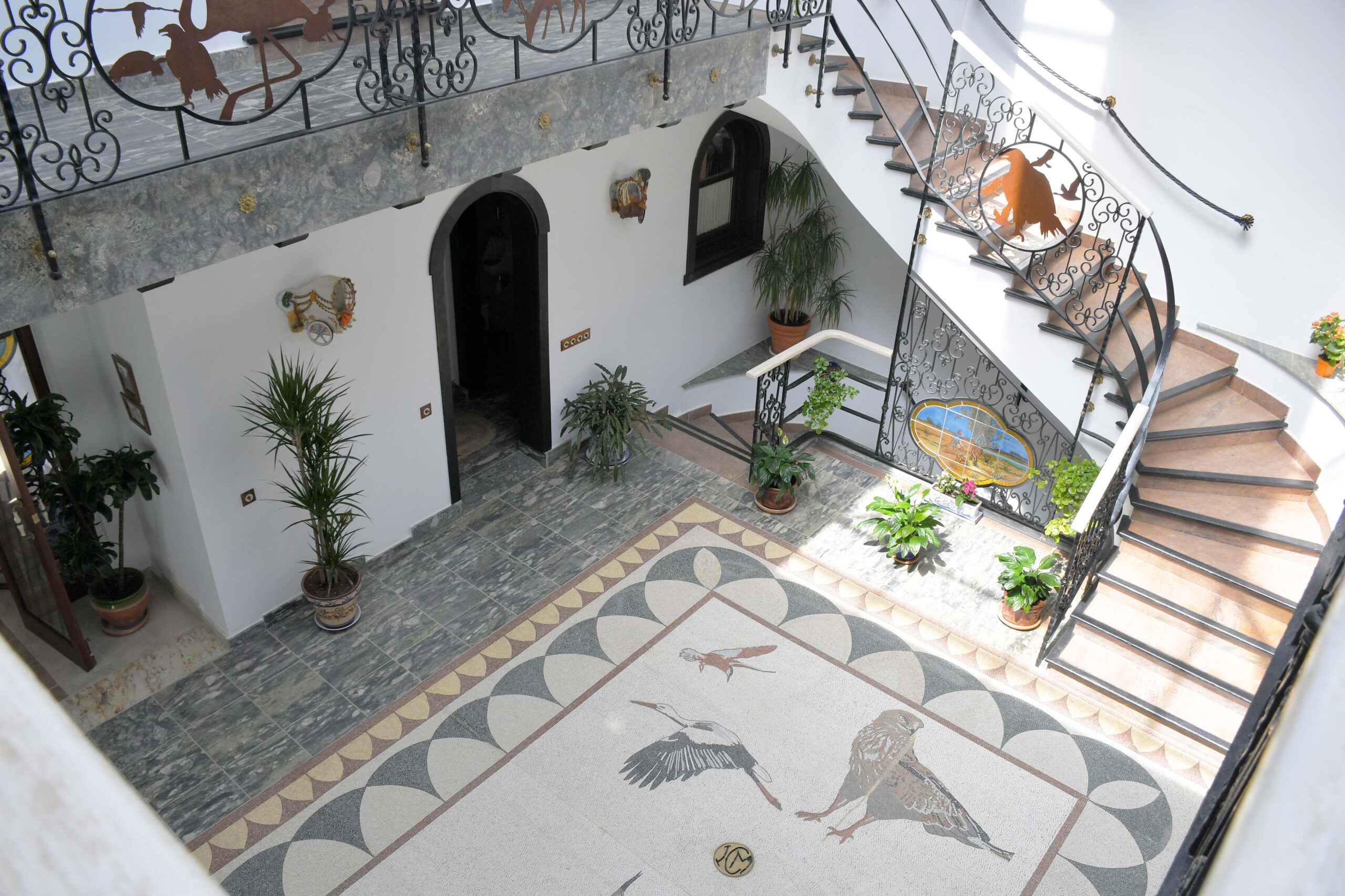 interior cenital
